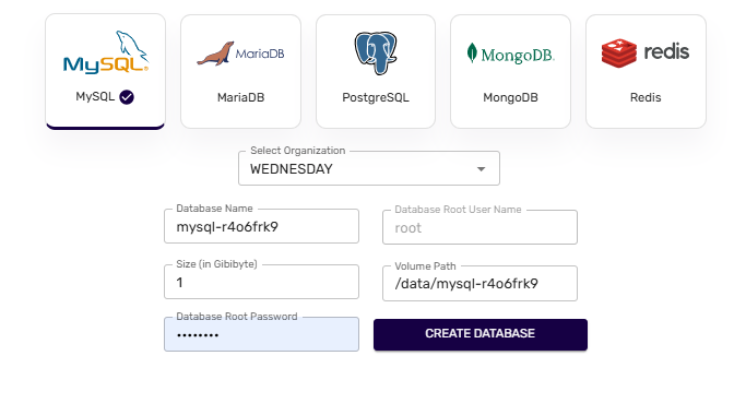 Database Details form